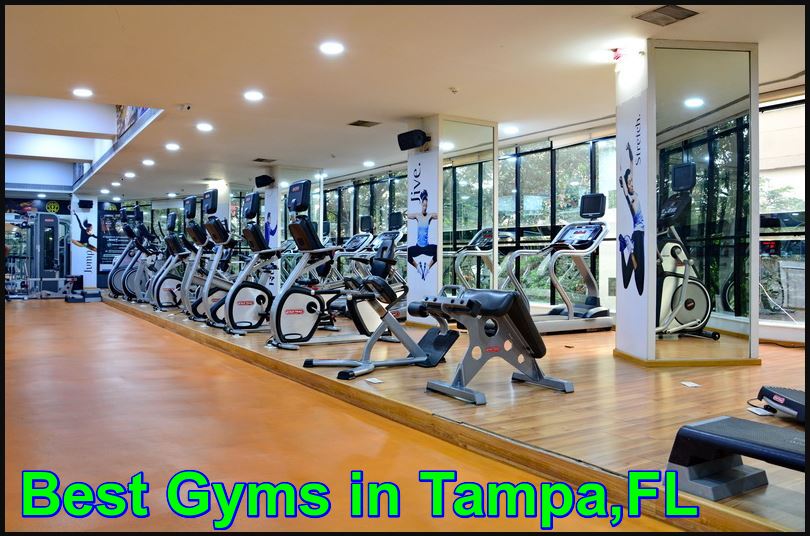 Best Gyms in Tampa,FL