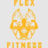 flex fitness prices