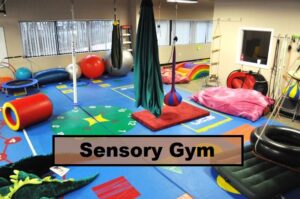 Sensory Gym